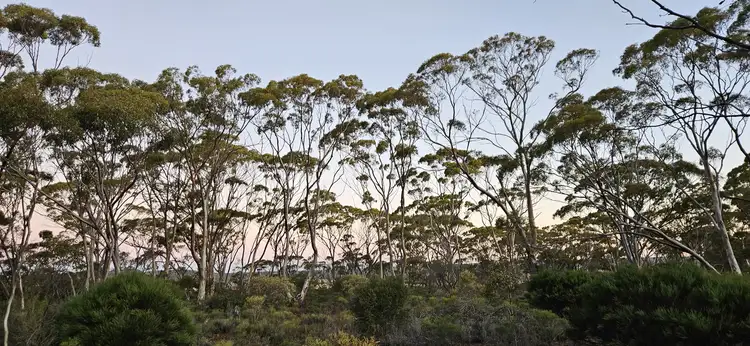 Third view of Homely land listing, Lot 1 Carlingup Road, Ravensthorpe WA 6346