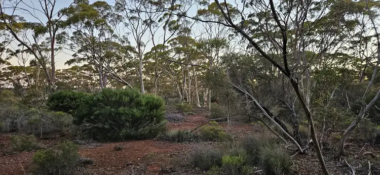Fourth view of Homely land listing, Lot 1 Carlingup Road, Ravensthorpe WA 6346