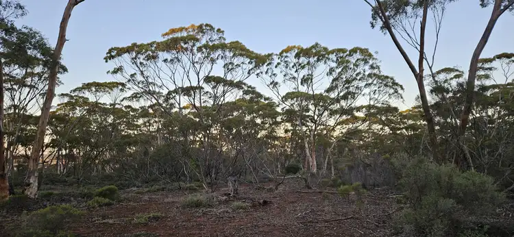 Sixth view of Homely land listing, Lot 1 Carlingup Road, Ravensthorpe WA 6346