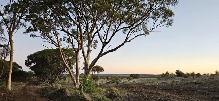 Seventh view of Homely land listing, Lot 1 Carlingup Road, Ravensthorpe WA 6346