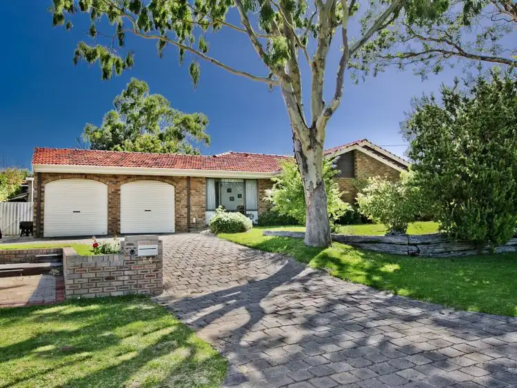 64 Cobb Street, Scarborough WA 6019