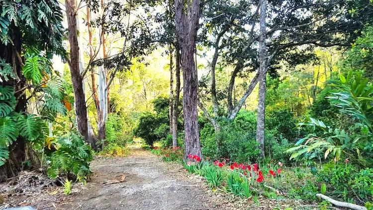 Fourth view of Homely rural property listing, Address available on request