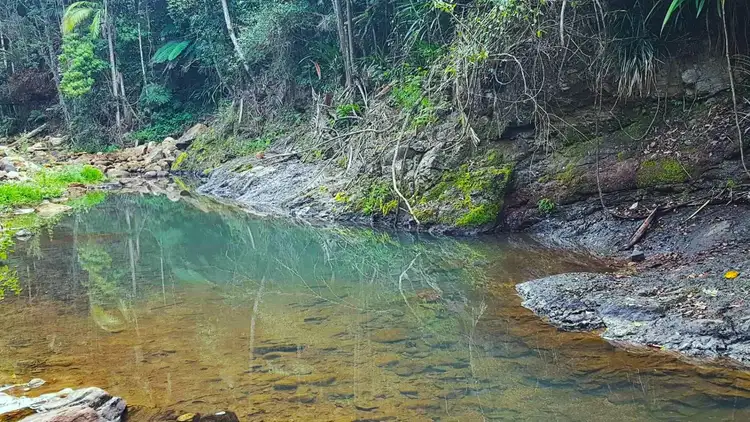 Fifth view of Homely rural property listing, Address available on request