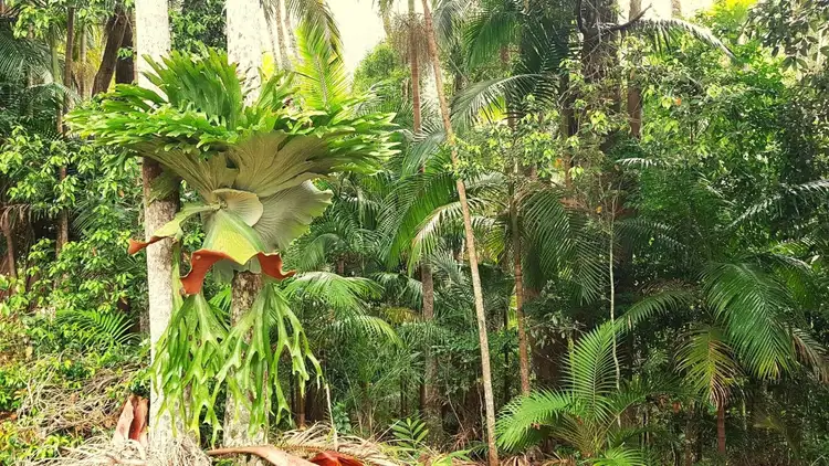 Sixth view of Homely rural property listing, Address available on request