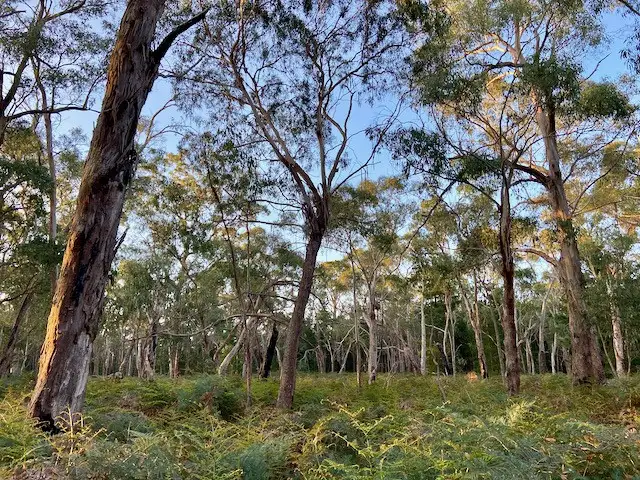 Second view of Homely land listing, 17 Spearys Road, Dereel VIC 3352