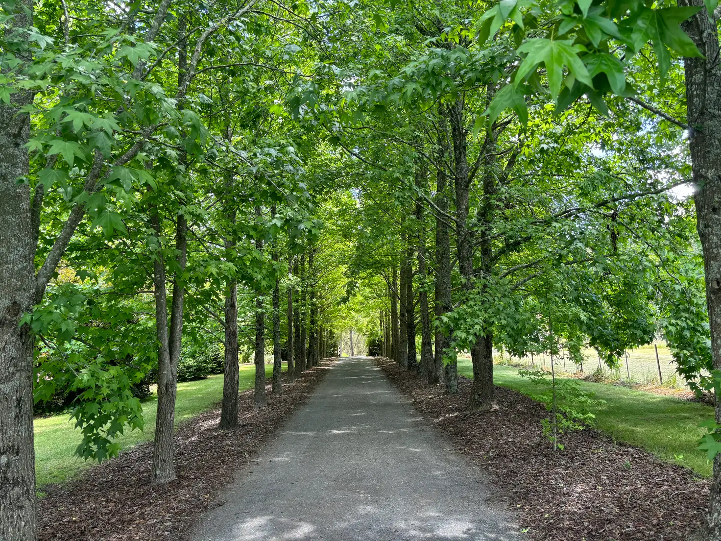 Main view of Homely rural property listing, 815 Ankers Road, Strathbogie VIC 3666