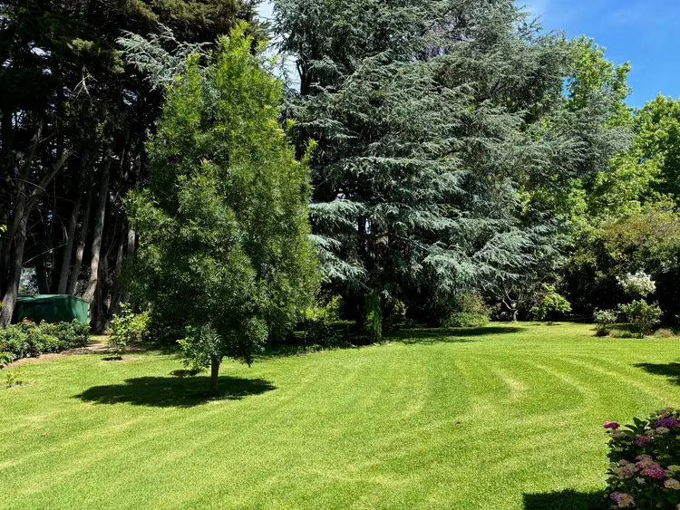 Third view of Homely rural property listing, 815 Ankers Road, Strathbogie VIC 3666