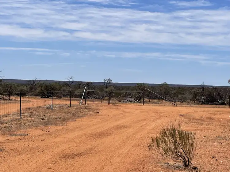 Main view of Homely rural property listing, 6370 Urawa Road, Nunierra WA 6630