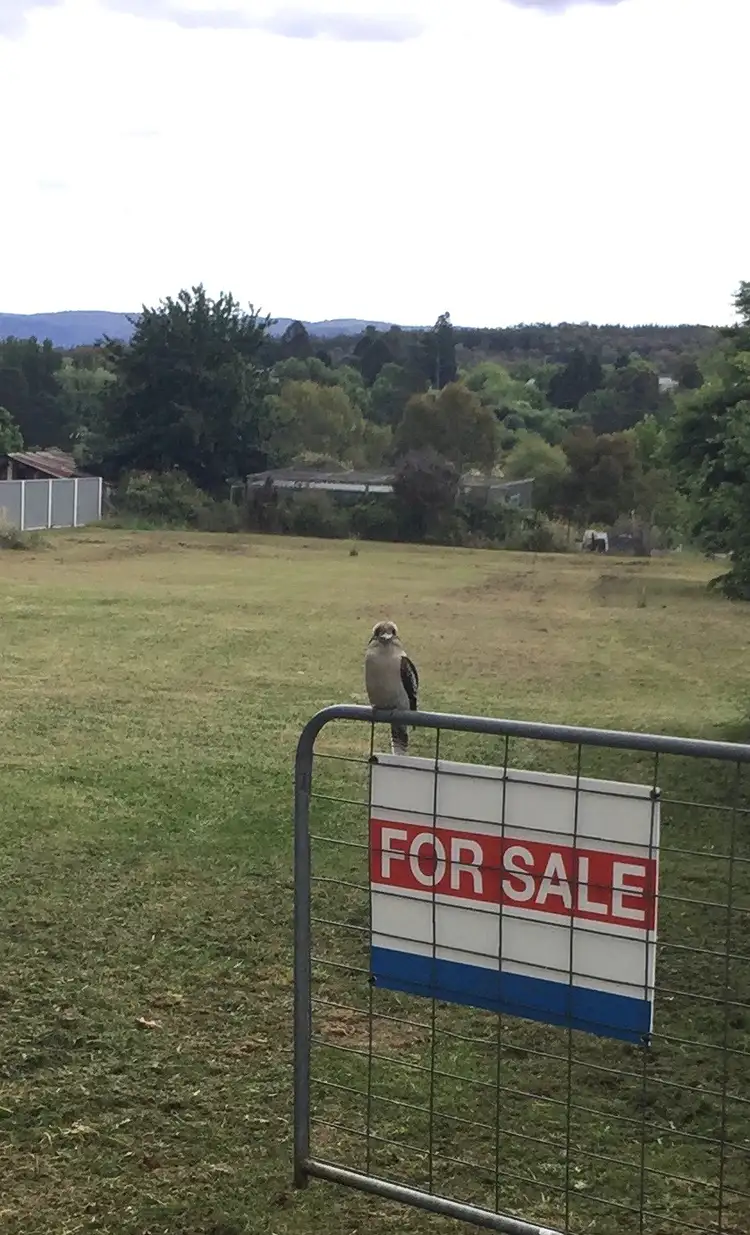 Third view of Homely land listing, 28 Gilchrist Avenue, Beechworth VIC 3747