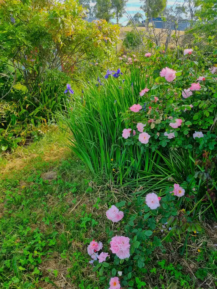 Fourth view of Homely land listing, 45 Winkleigh Road, Exeter TAS 7275