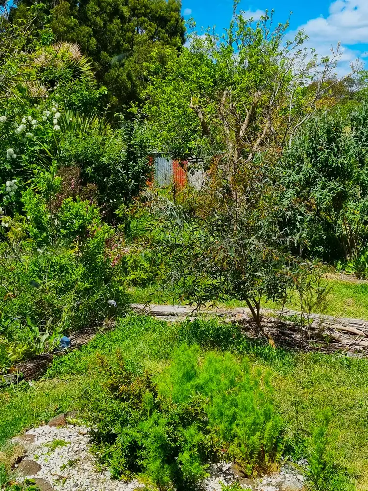 Fifth view of Homely land listing, 45 Winkleigh Road, Exeter TAS 7275