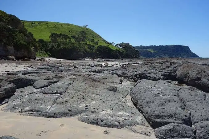 Third view of Homely land listing, 10 Inglisdale Dr, Wynyard TAS 7325