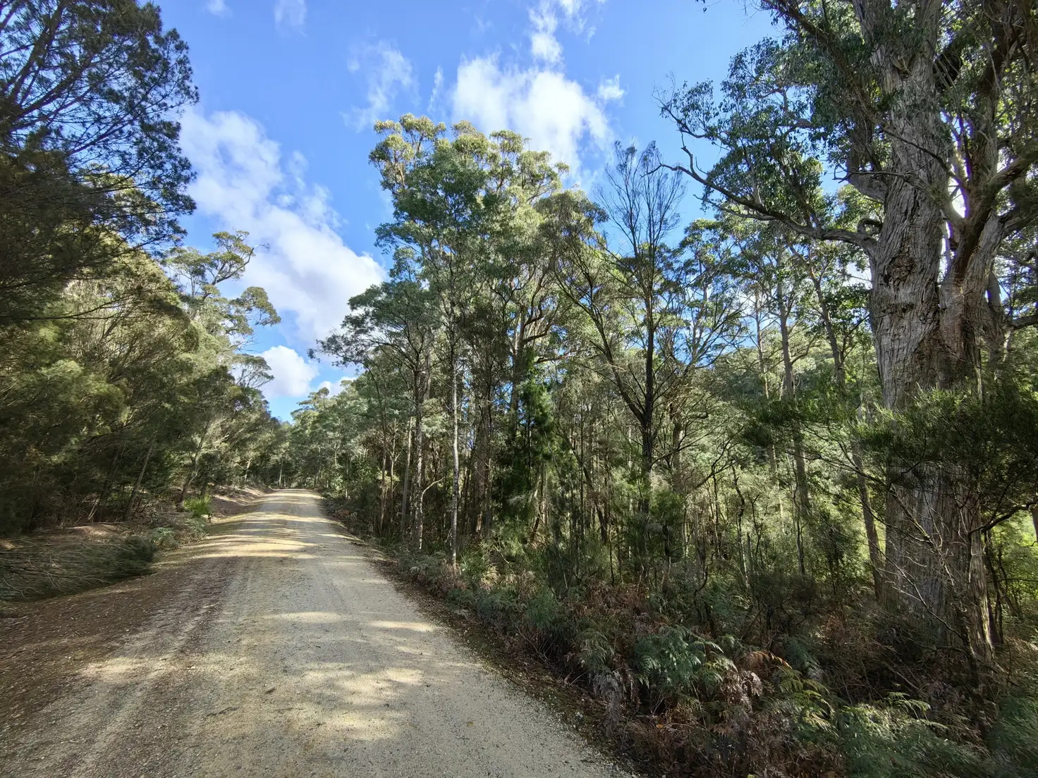 Main view of Homely land listing, 82 Branchs Creek Road, Harford TAS 7307