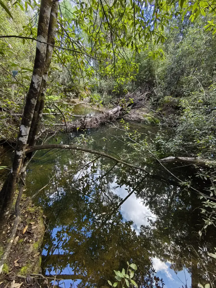 Second view of Homely land listing, 82 Branchs Creek Road, Harford TAS 7307