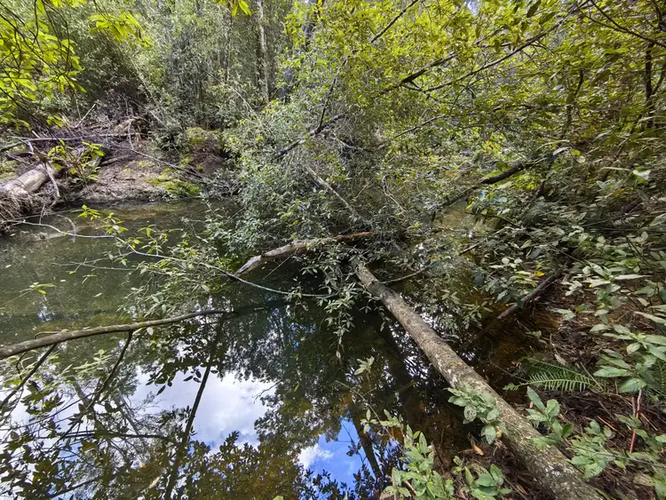 Seventh view of Homely land listing, 82 Branchs Creek Road, Harford TAS 7307