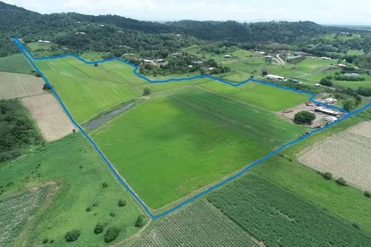 Main view of Homely rural property listing, 143 Wainai Road, Farleigh QLD 4741