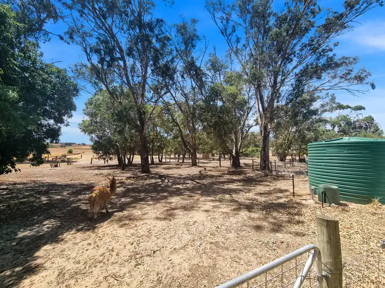Sixth view of Homely house listing, 3450 Dandaragan Road, Dandaragan WA 6507