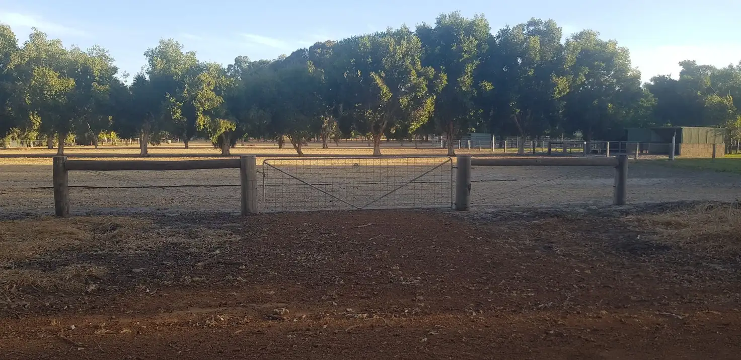 Main view of Homely land listing, 53 William Street, Boyanup WA 6237