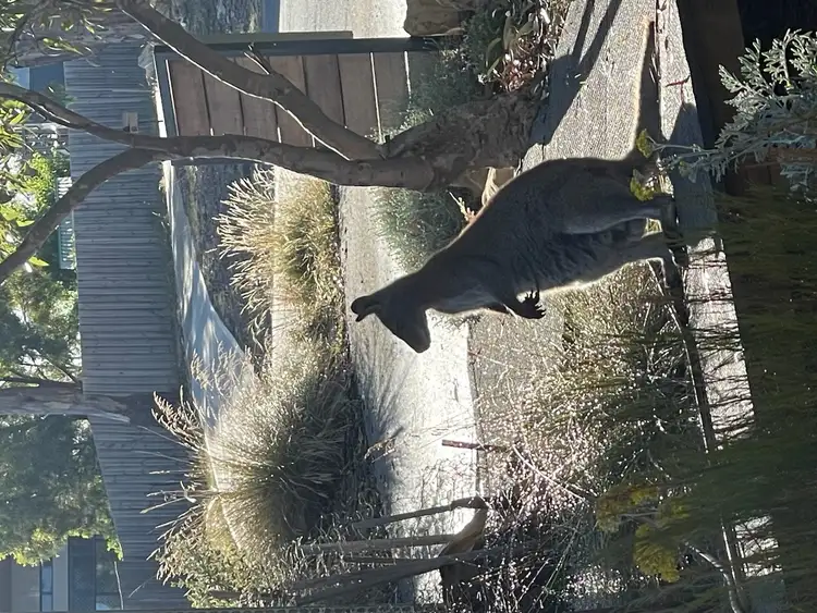 Sixth view of Homely house listing, 3 Fig Place, Geilston Bay TAS 7015