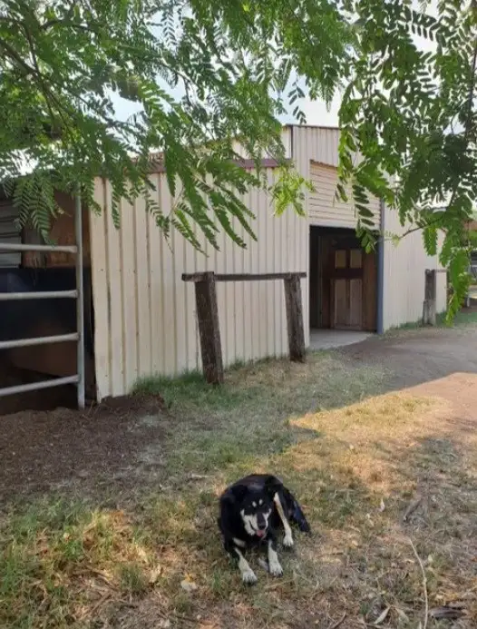 Fourth view of Homely rural property listing, 23a Videroni St, Bundamba QLD 4304