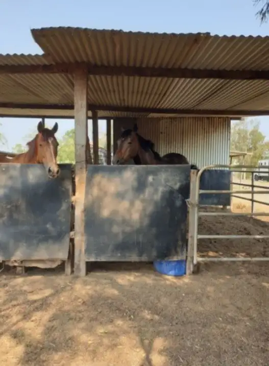 Sixth view of Homely rural property listing, 23a Videroni St, Bundamba QLD 4304