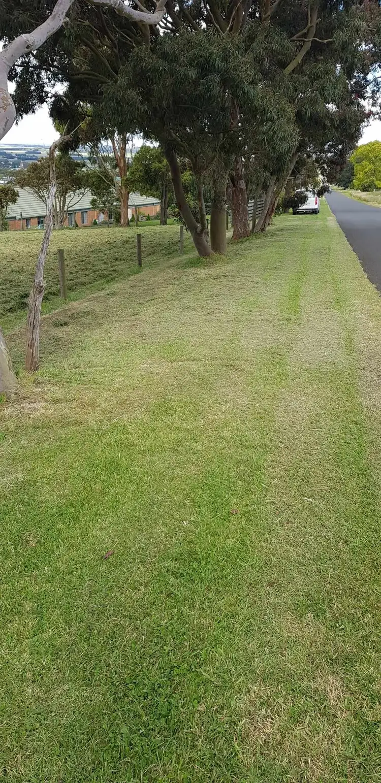 Fifth view of Homely land listing, 82 Park Lane, Camperdown VIC 3260