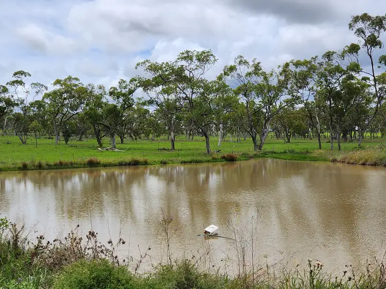 Main view of Homely land listing, Lot 4 SP 268228 Hermitage Emu Vale Road, Junabee QLD 4370