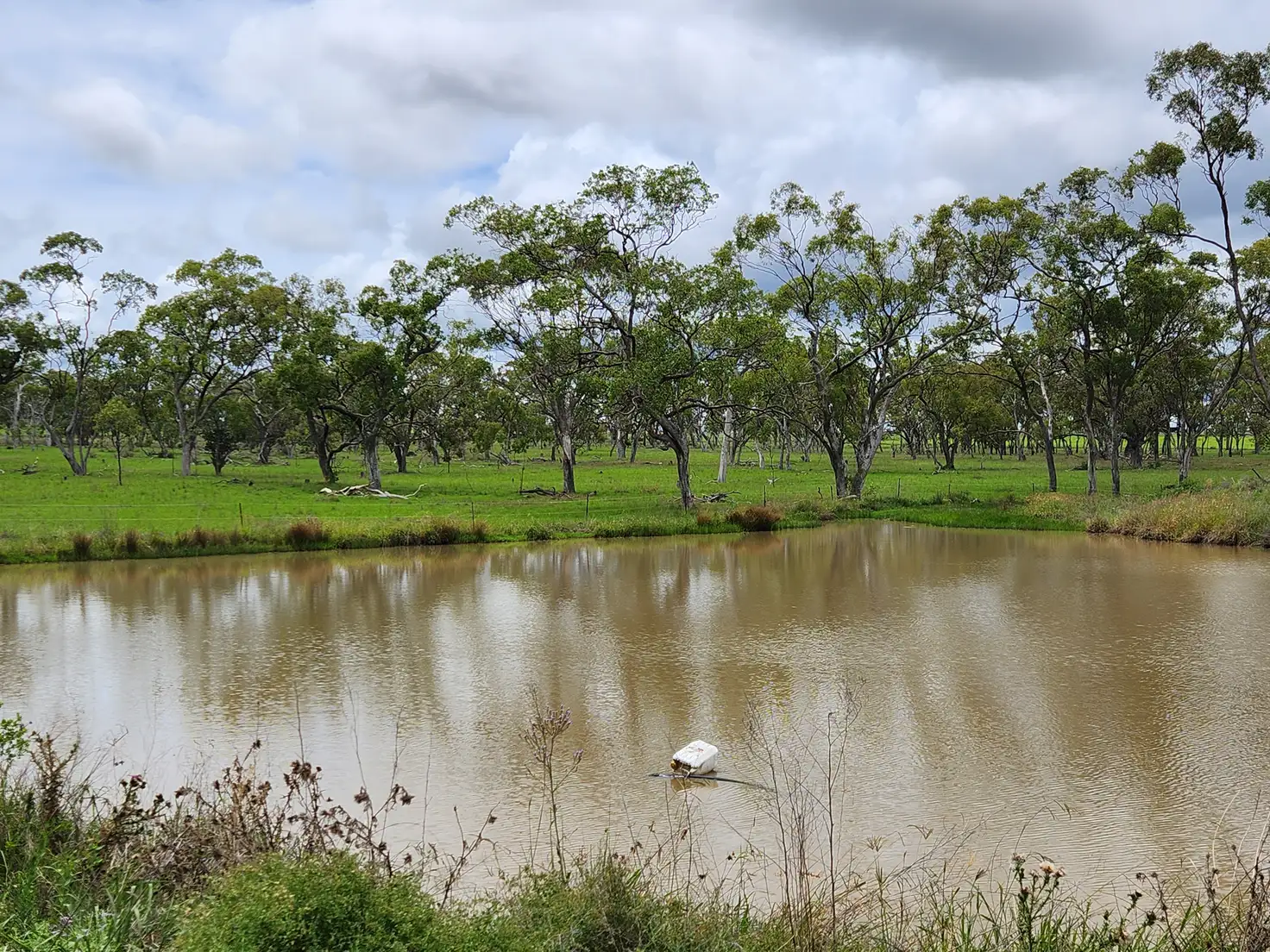 Main view of Homely land listing, Lot 4 SP 268228 Hermitage Emu Vale Road, Junabee QLD 4370