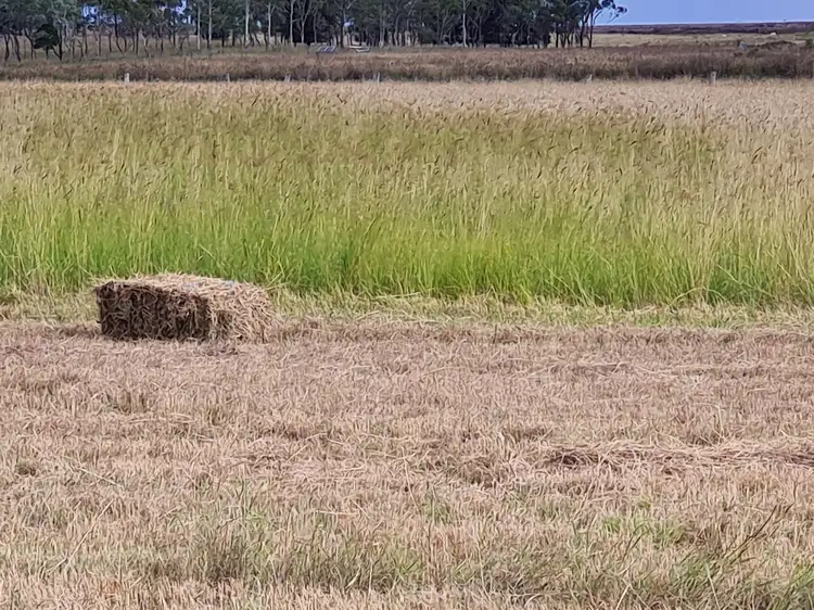 Seventh view of Homely land listing, Lot 4 SP 268228 Hermitage Emu Vale Road, Junabee QLD 4370