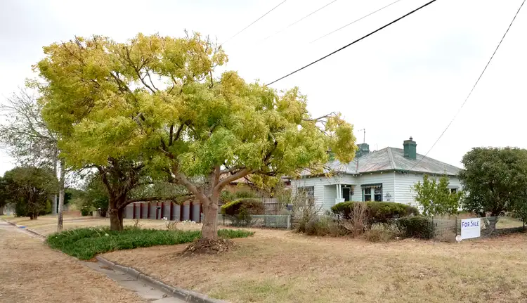 Main view of Homely house listing, 43 Harding St, Winchelsea VIC 3241