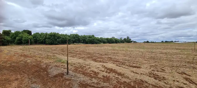 Second view of Homely rural property listing, 85 Dacelo Avenue, Red Cliffs VIC 3496