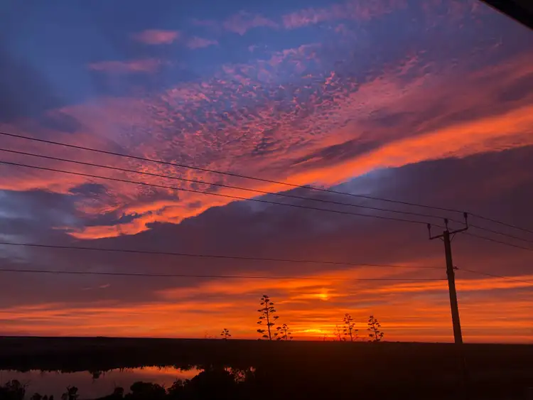 Fifth view of Homely house listing, 6 Penaluna Crescent, Waikerie SA 5330