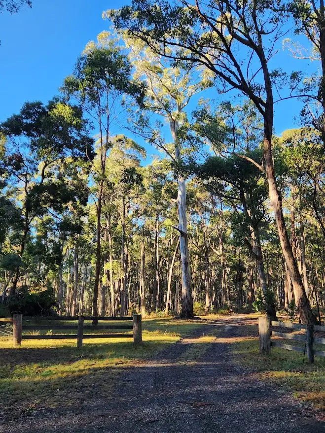 Second view of Homely rural property listing, 60 Hickeys Road, Trentham East VIC 3458