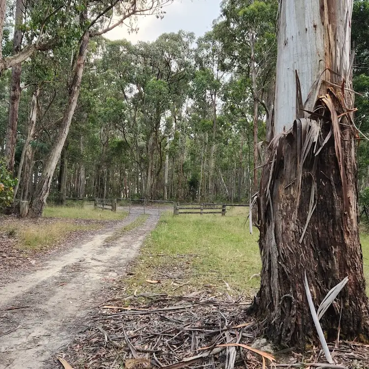 Fifth view of Homely rural property listing, 60 Hickeys Road, Trentham East VIC 3458