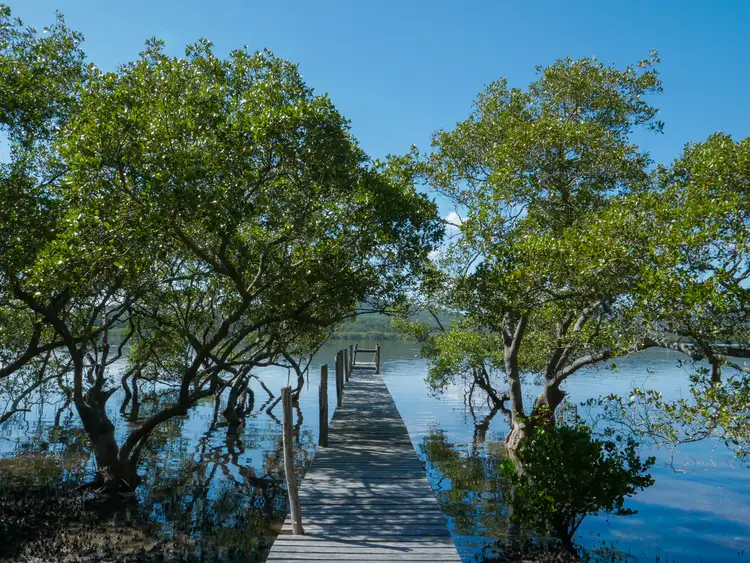 Sixth view of Homely land listing, 86 Riverside Drive, Karuah NSW 2324