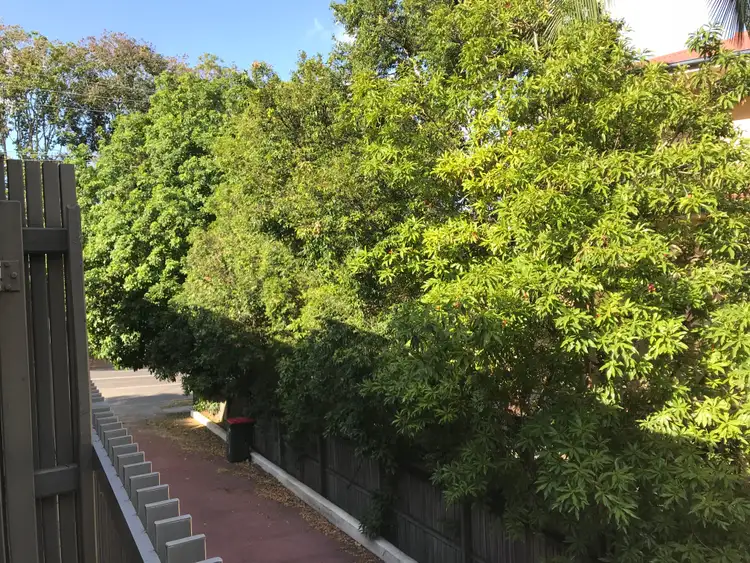 Third view of Homely unit listing, 4/113 Sir Fred Schonell Drive, St Lucia QLD 4067