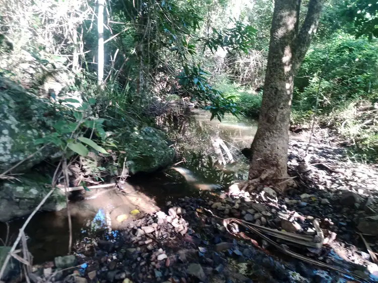 Third view of Homely rural property listing, Lot 54 Kurkowski Road, Pauls Pocket QLD 4800