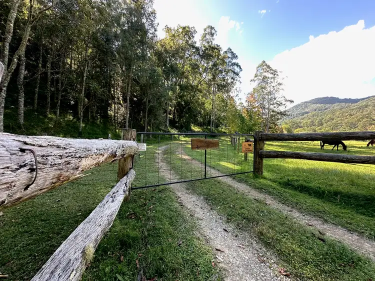 3025 Carrowbrook Road, Carrowbrook NSW 2330