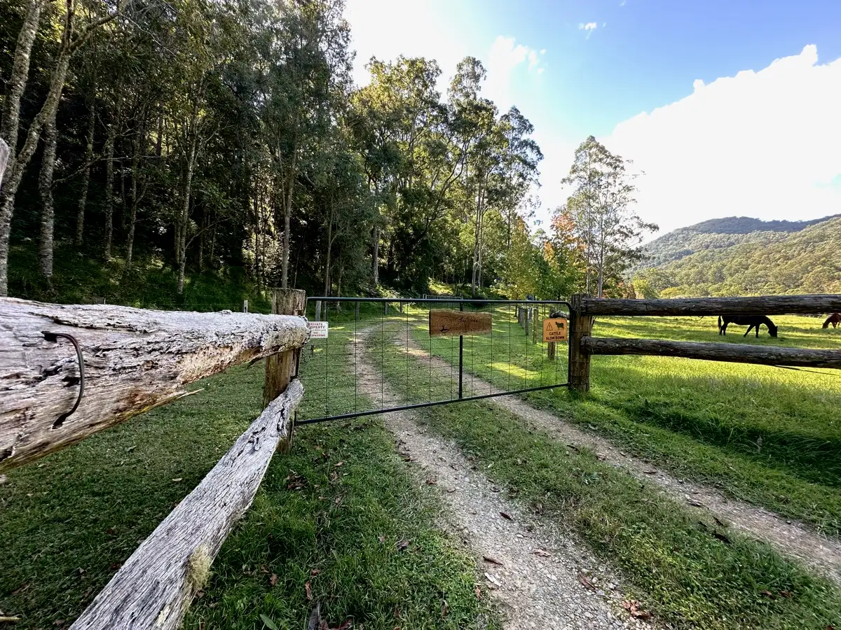 Main view of Homely rural property listing, 3025 Carrowbrook Road, Carrowbrook NSW 2330