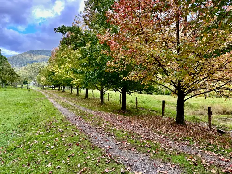 Sixth view of Homely rural property listing, 3025 Carrowbrook Road, Carrowbrook NSW 2330