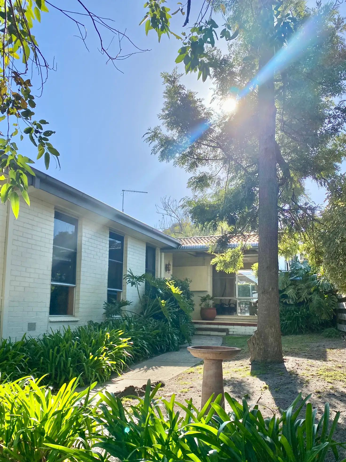 Main view of Homely house listing, 18 Richardson Drive, Mornington VIC 3931