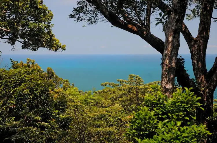 Third view of Homely house listing, 35 Kauri Close, Daintree QLD 4873