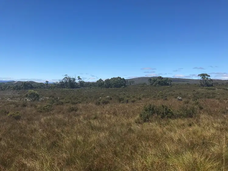 Second view of Homely rural property listing, 499 Heemskirk Road, Zeehan TAS 7469