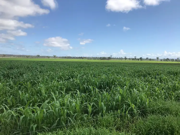 Fifth view of Homely rural property listing, 447 Mahons Road, Coominya QLD 4311