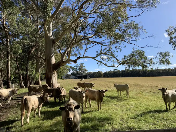 Second view of Homely rural property listing, 30 Pennyroyal School Road, Pennyroyal VIC 3235