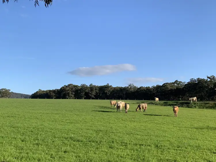 Third view of Homely rural property listing, 30 Pennyroyal School Road, Pennyroyal VIC 3235
