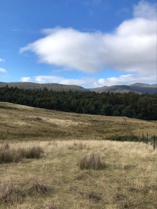Main view of Homely land listing, 82 Grahams Road, Black Hills TAS 7140