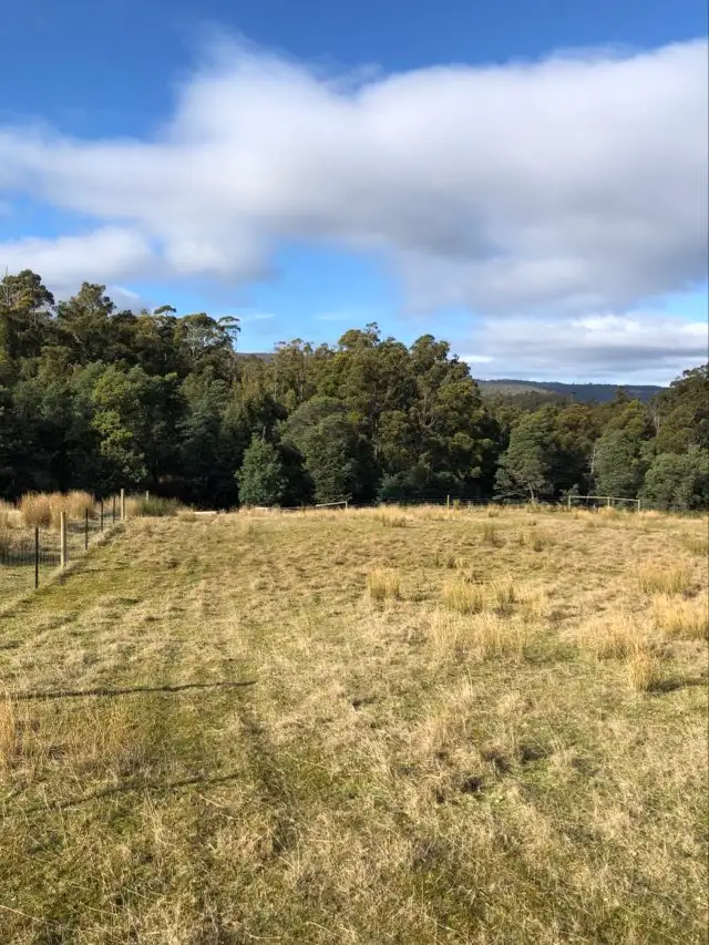 Third view of Homely land listing, 82 Grahams Road, Black Hills TAS 7140
