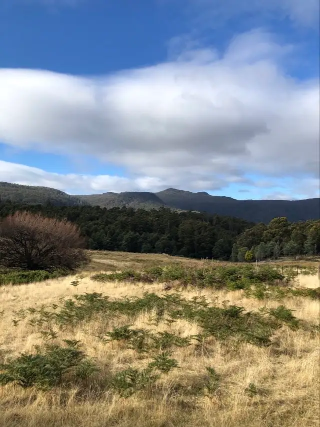 Seventh view of Homely land listing, 82 Grahams Road, Black Hills TAS 7140