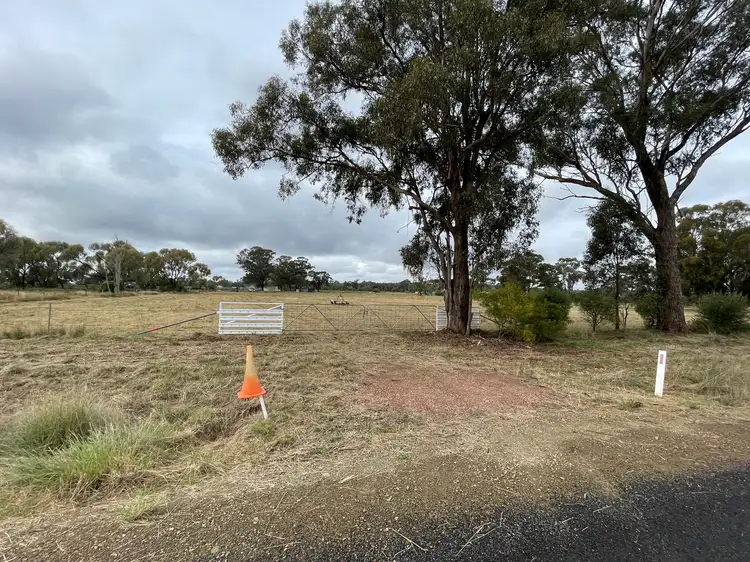 Lot 103-104 Bulgandramine Road, Peak Hill NSW 2869